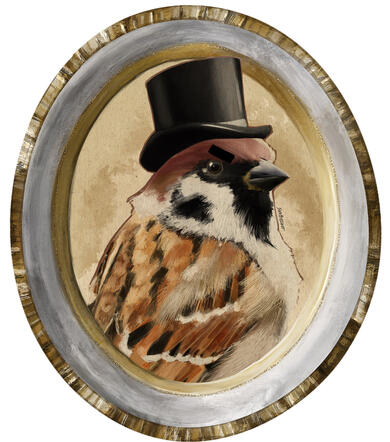Sparrow 2€