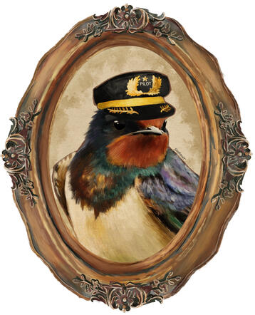 Swallow 2€